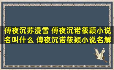 傅夜沉苏漫雪 傅夜沉诺筱颖小说名叫什么 傅夜沉诺筱颖小说名解答